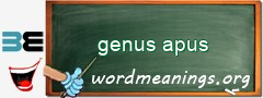 WordMeaning blackboard for genus apus